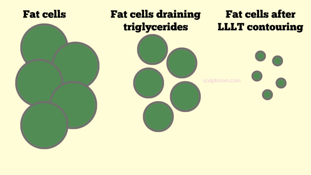 photo depicting fat cells leaking triglycerides and lipids and shrinking in size. 